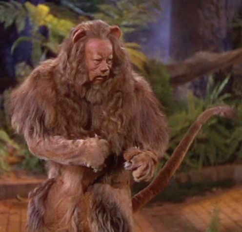 The-Cowardly-Lion-the-wizard-of-oz-6449515-496-475.jpg