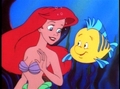 Ariel and Flounder - the-little-mermaid photo