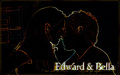 Edward Cullen - edward-cullen photo