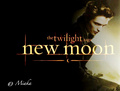 Edward New Moon Promo - twilight-series fan art