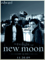Edward-New Moon - twilight-series photo