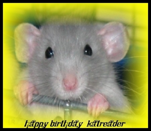  Happy Birthday, Katreader! (10th June)
