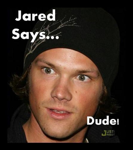 Jared Says...