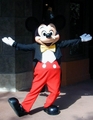 Mickey - mickey-mouse photo