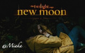 New Moon Lost Logo - twilight-series fan art