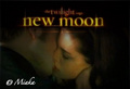 New Moon The Kiss Logo # 1 - twilight-series fan art