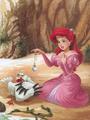 Walt Disney Images - Scuttle & Princess Ariel - disney-princess photo