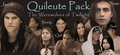 The quileute tribe - twilight-series fan art