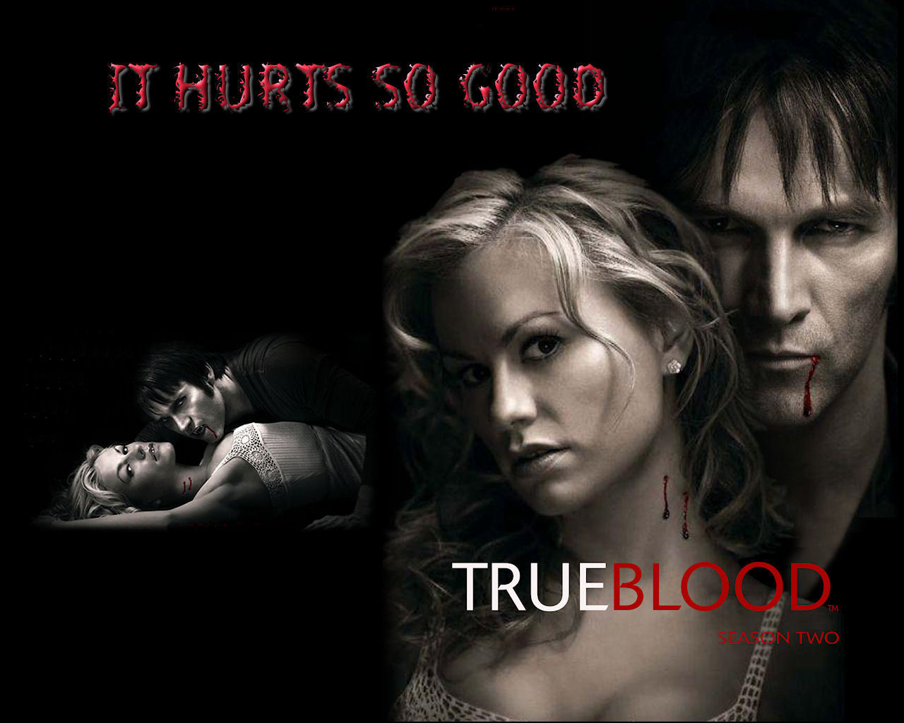 True Blood: Season 2 movie