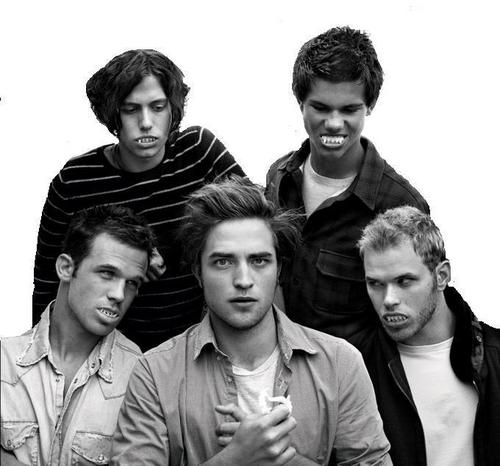  Twilight boys (cropped)