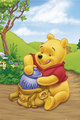 Winnie the Pooh - winnie-the-pooh photo