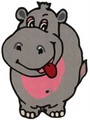 hippo - hippos photo
