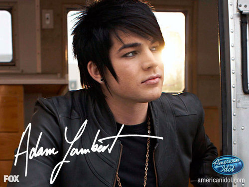  Adam Hintergrund from Idol Site