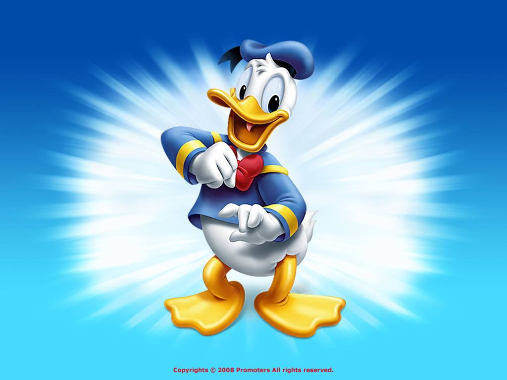 Donald Duck Photos