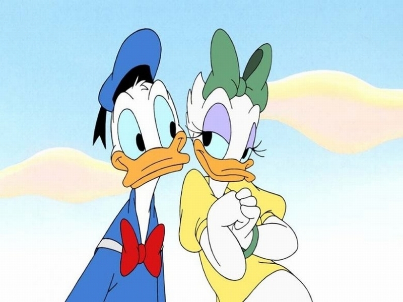 wallpaper donald duck. Donald Duck and Daisy