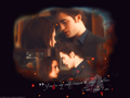 Edward+Bella - twilight-series wallpaper