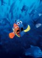 Finding Nemo - finding-nemo photo
