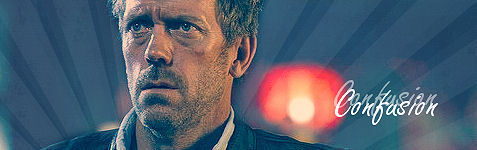  House MD Banner