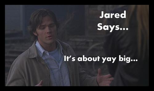  Jared Says...