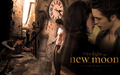 twilight-saga-movies - New Moon <3 wallpaper