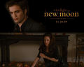 twilight-saga-movies - New Moon <3 wallpaper