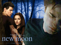 New Moon Poster made by Me - twilight-series fan art