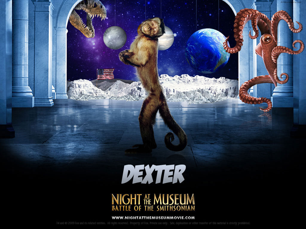 Night at the Museum: Battle of the Smithsonian - Movies Wallpaper (6696181) - Fanpop