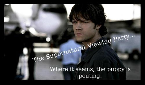  SPN Viewing Party