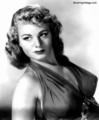 Shelley Winters - classic-movies photo