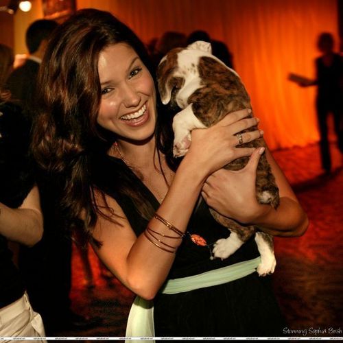 Sophia Bush at the 12th Annual Race to Erase MS