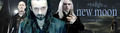 banner Aro, Caius and Marcus - twilight-series fan art