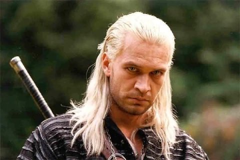  the witcher movie