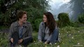 what u think?? are they together or no? - twilight-series photo