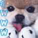 A cute puppy icon made by me - mactaylor-clan icon