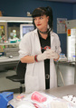 Abby in lab coat - abby-sciuto photo