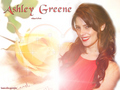 Ashley Greene - twilight-series wallpaper