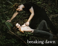 Breaking Dawn - twilight-series wallpaper