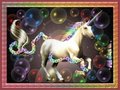 Framed Unicorn - unicorns photo