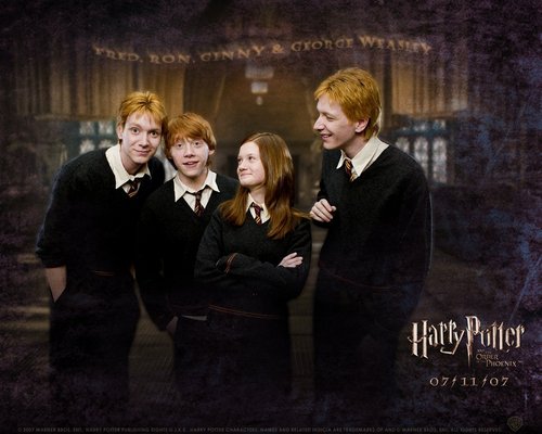  Harry Potter <3
