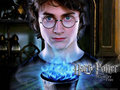 harry-potter-vs-twilight - Harry Potter <3 wallpaper