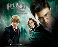 harry-potter-vs-twilight - Harry Potter WINS!!! wallpaper