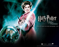 harry-potter-vs-twilight - Harry Potter WINS!!! wallpaper