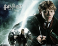 harry-potter-vs-twilight - Harry Potter obsessor wallpaper