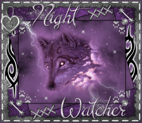  Night Watcher
