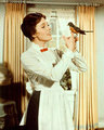 Mary Poppins - classic-movies photo