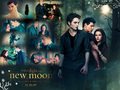 twilight-series - New Moon Wallpaper wallpaper