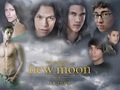New Moon (Wolf Pack) - twilight-series fan art