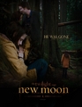 New Moon poster - twilight-series fan art