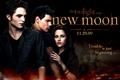 NewMoon20 - twilight-series fan art