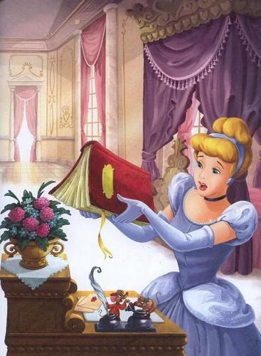 Princess Cinderella 